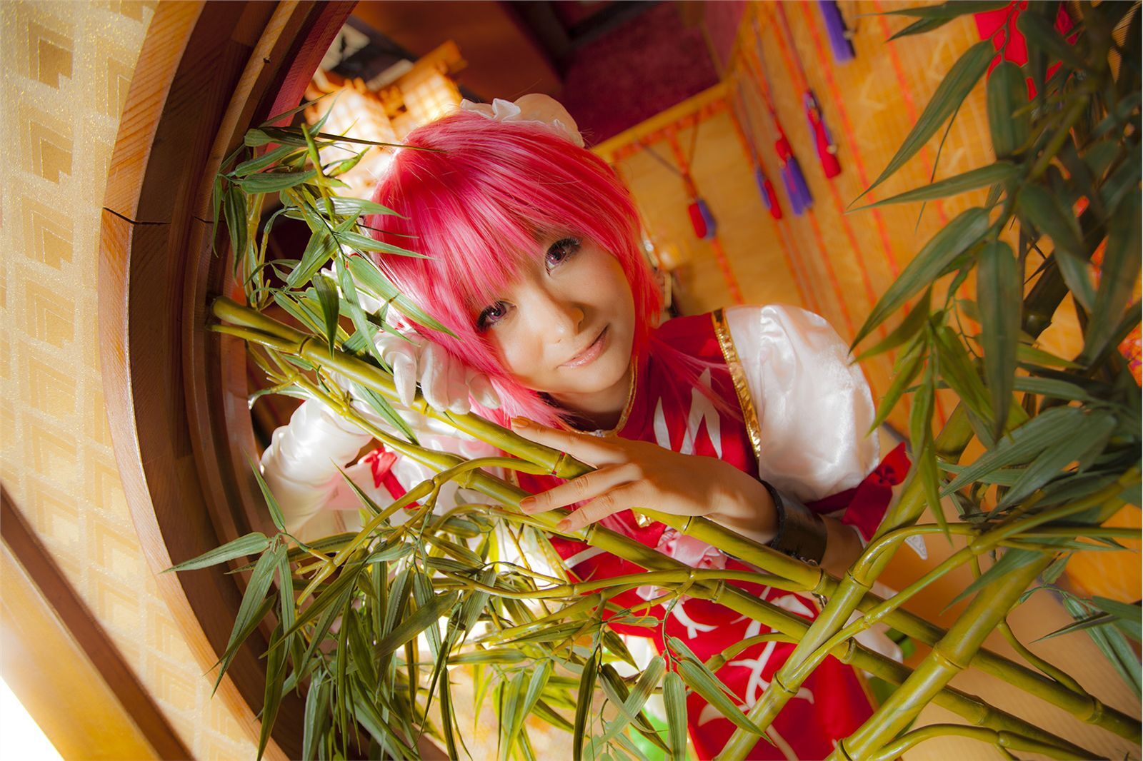 [Cosplay] New Touhou Project Cosplay set - Awesome Kasen Ibara